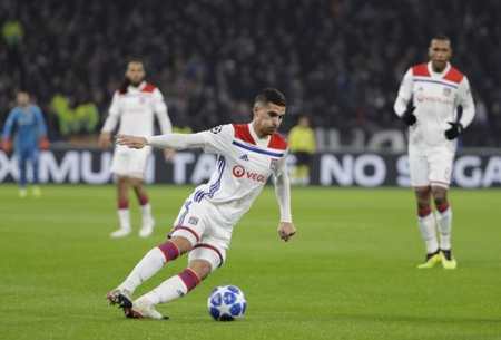 体系培养了 体系培养了